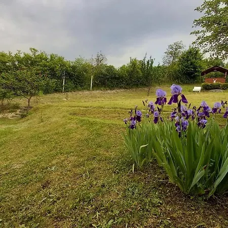 Vadászles Appartamento