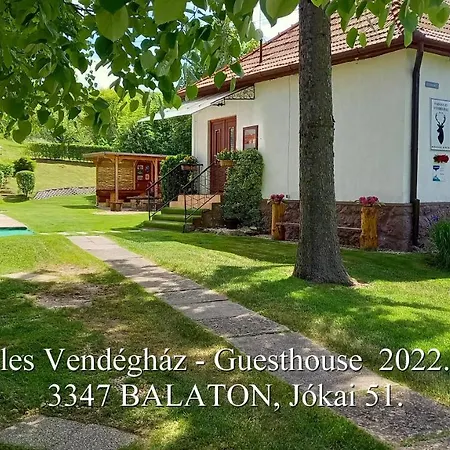 Daire Vadaszles Vendeghaz *