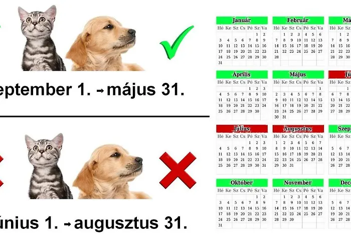Vadaszles Vendeghaz *